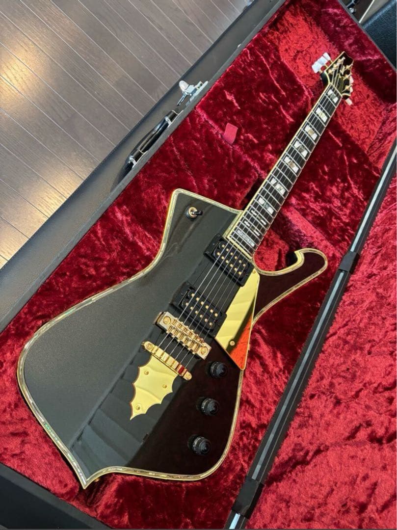 ハードケース無にて大幅値引き Ibanez PS-10LTD！