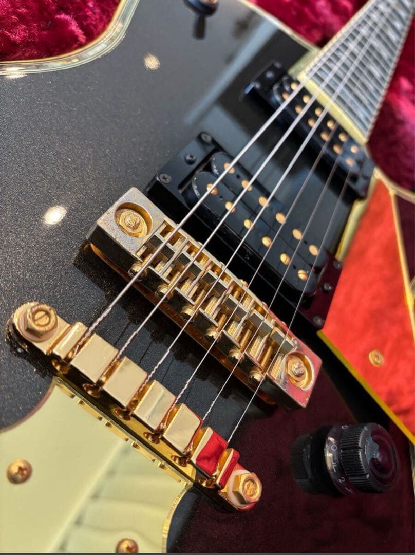 ハードケース無にて大幅値引き Ibanez PS-10LTD！