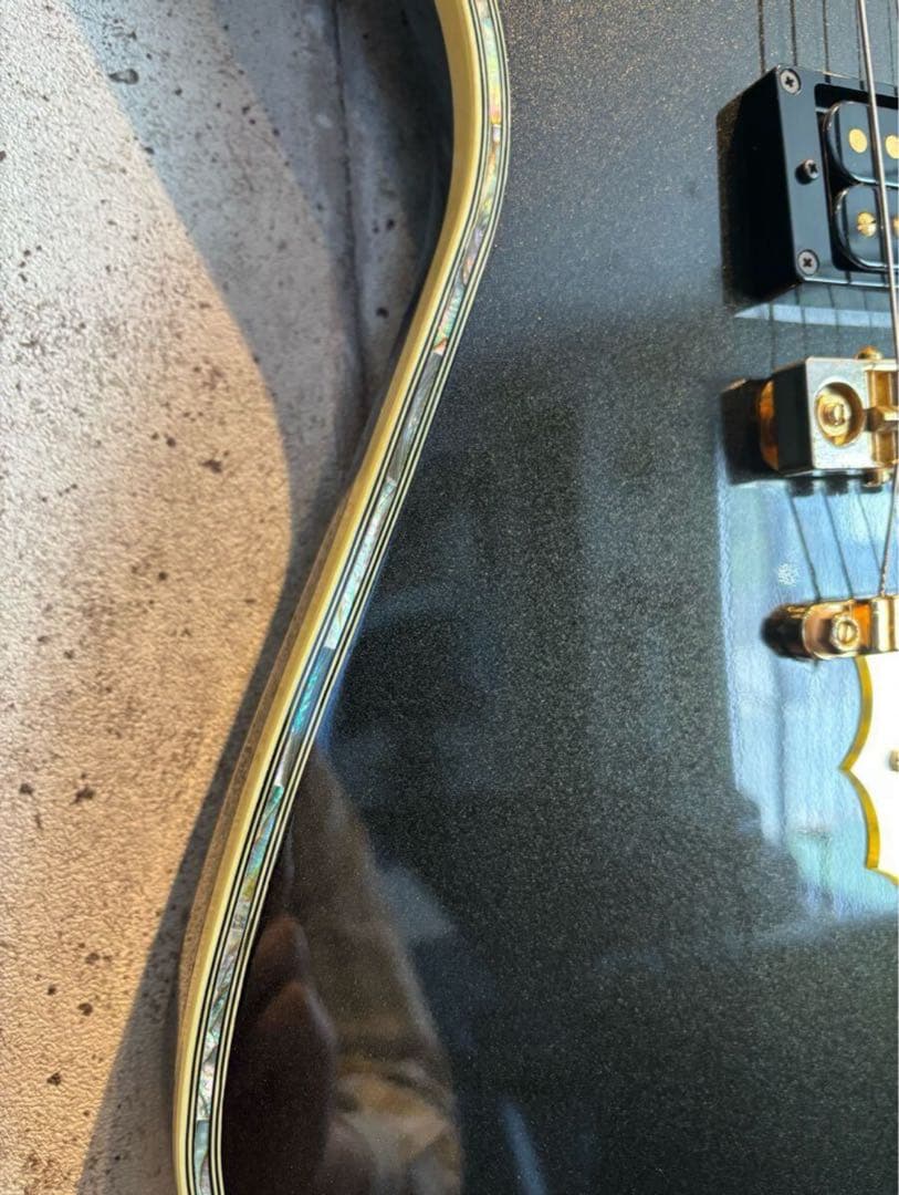 ハードケース無にて大幅値引き Ibanez PS-10LTD！