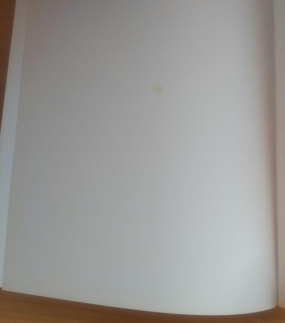 洋書 CATALOGUE RAISONNE OF SCULPTURE