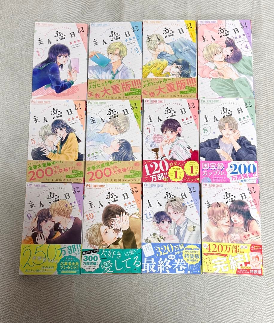 吉永ゆう　主人恋日記　全巻セット　1〜12巻