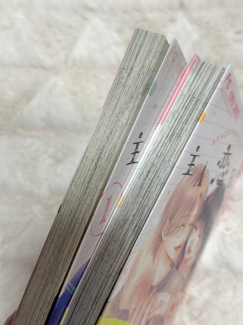 吉永ゆう　主人恋日記　全巻セット　1〜12巻