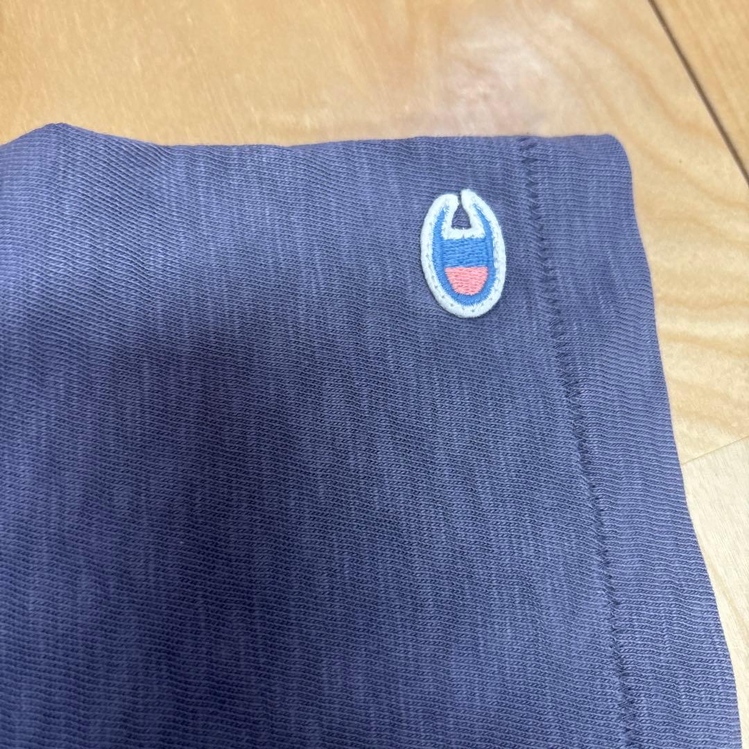 90s stussy champion tシャツ シングルステッチ 茄子紺