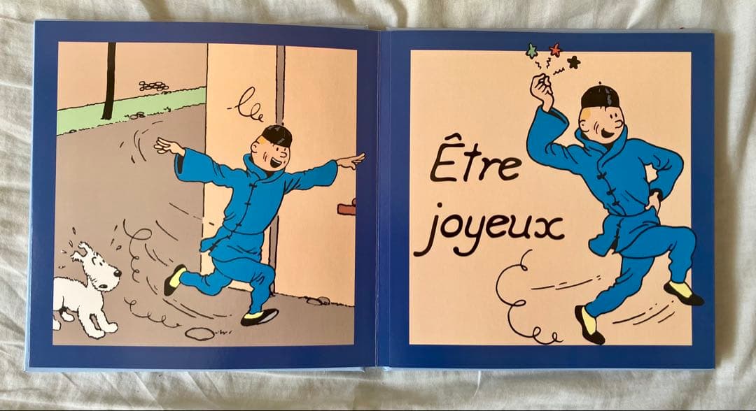 【希少】TINTIN タンタンの冒険　フランス語版　片観音構成 絵本3冊セット