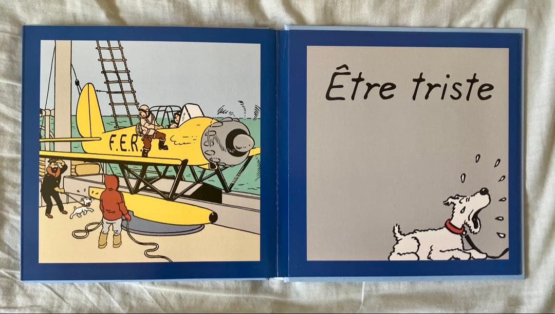 【希少】TINTIN タンタンの冒険　フランス語版　片観音構成 絵本3冊セット