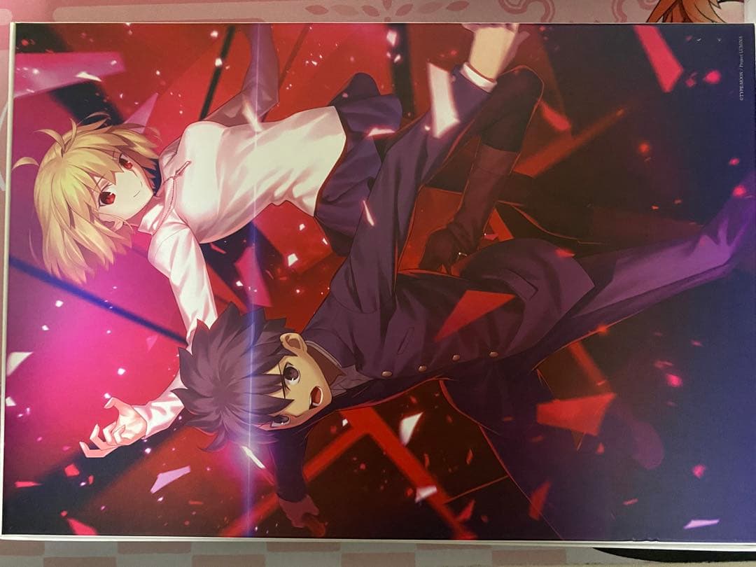 MELTY BLOOD: TYPE LUMIN 月姫 Switchソフト