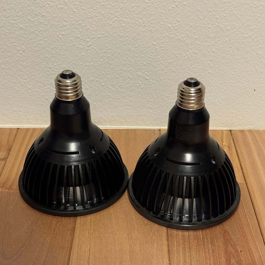 アマテラス LED 20W 2個セット