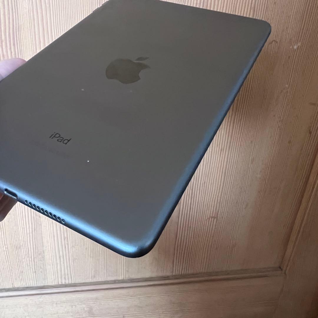 iPad mini 5 cellular 64GB BT93% 付属品多数