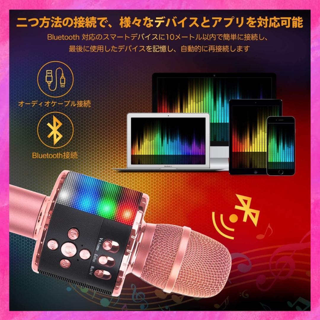 ❤自宅でカラオケ練習OK❣プロが練習用にも使用する本格派♪❤カラオケマイク