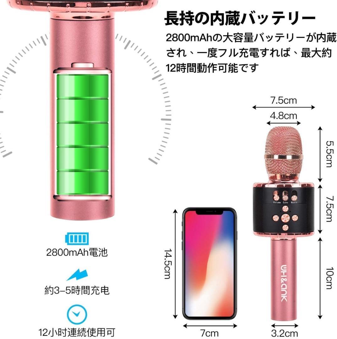 ❤自宅でカラオケ練習OK❣プロが練習用にも使用する本格派♪❤カラオケマイク