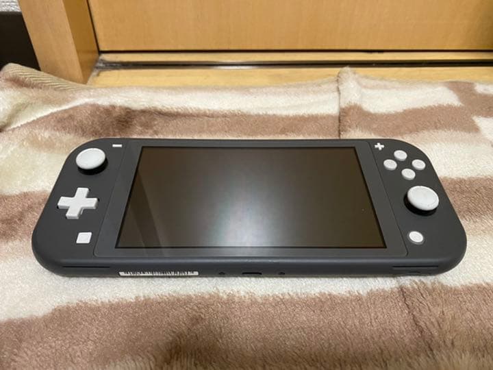 Nintendo Switch NINTENDO SWITCH LITE グレー