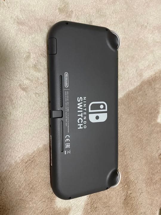 Nintendo Switch NINTENDO SWITCH LITE グレー