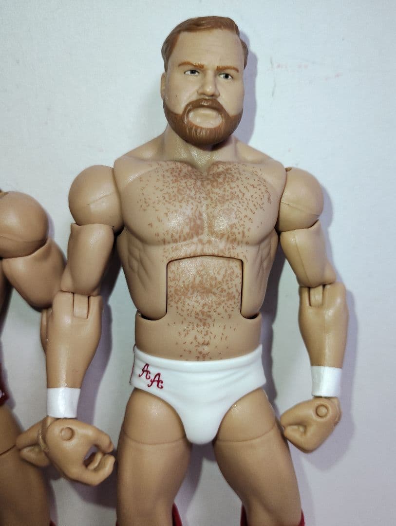 マテル社版　WWEプロレスフィギュア　アーンアンダーソン&タリープランチャード