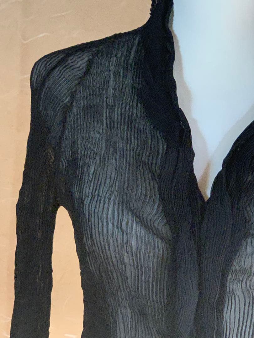 ISSEY MIYAKE シフォンブラウス Sheer Pleated Top