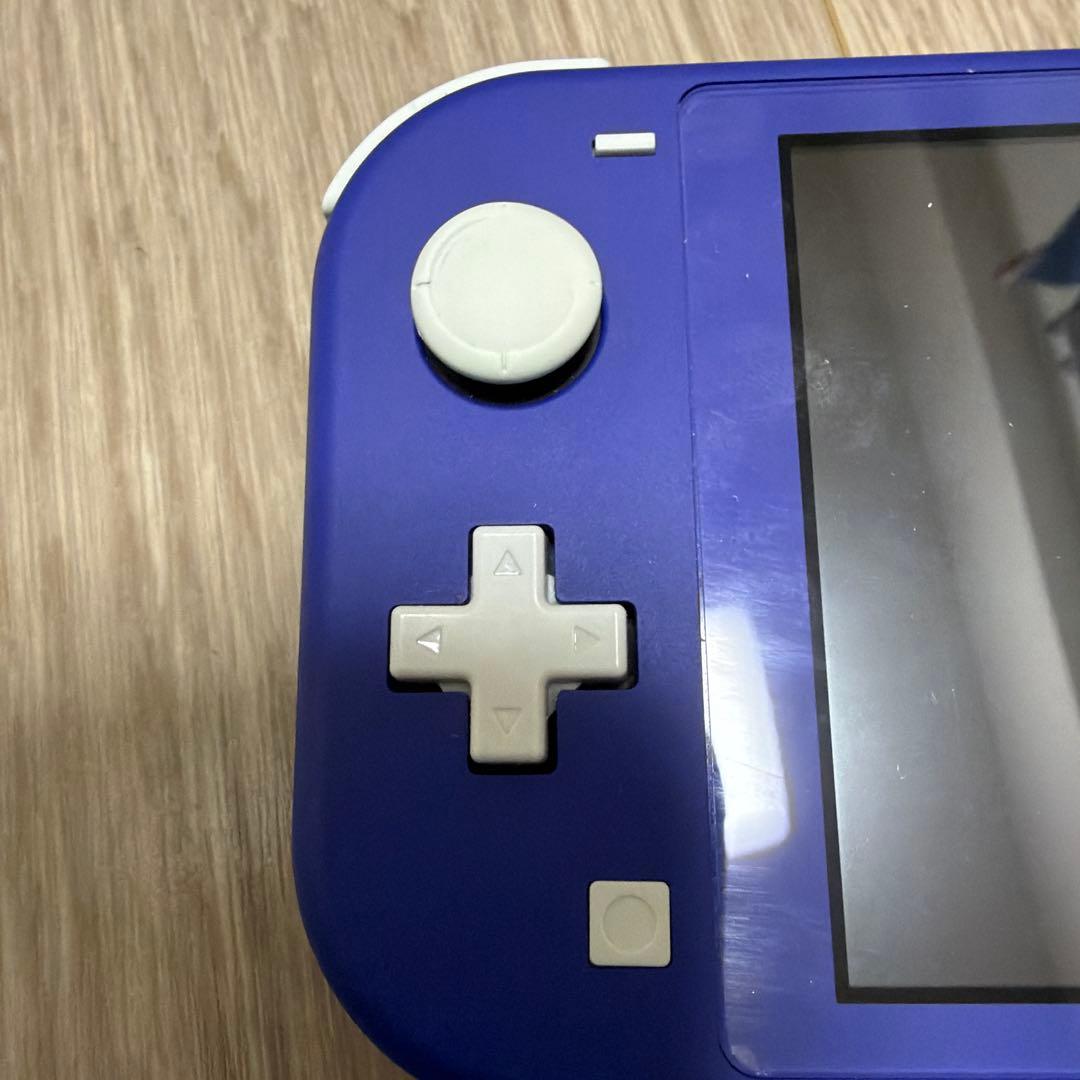 Nintendo Switch Lite 青　保護シート、ケース付き