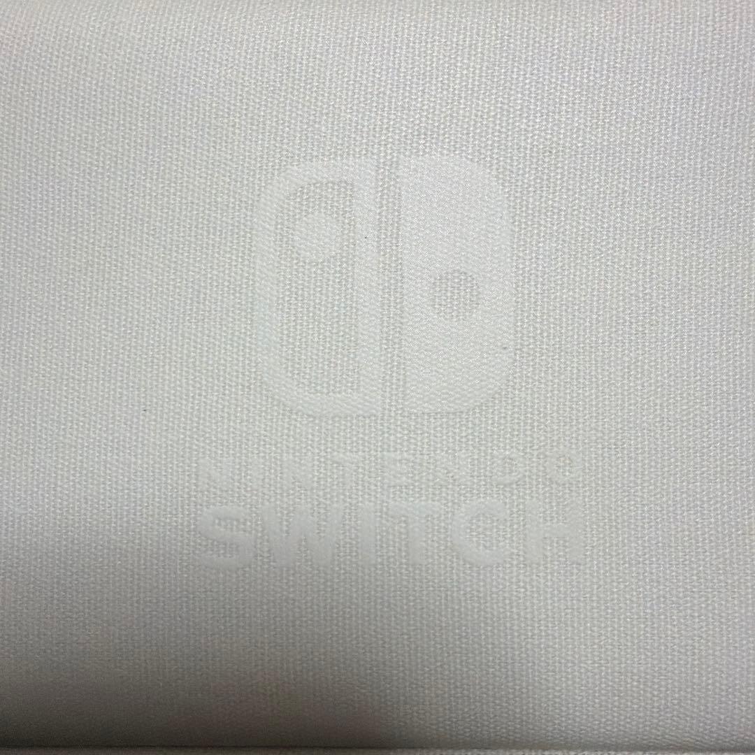 Nintendo Switch Lite 青　保護シート、ケース付き