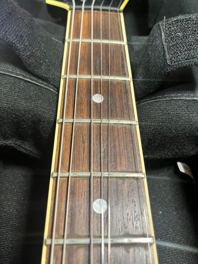 FERNANDES LIMITED EDITION TEJ 希少なLシリアル