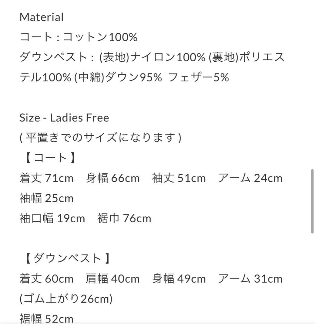 新品　\"i c h i × TAION\" ダウンライナー付き限定コラボコート