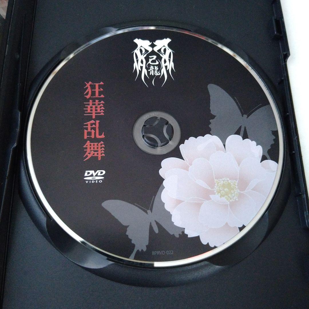 己龍 狂華乱舞 DVD ツアードキュメント マルチアングル V系 ヴィジュアル系