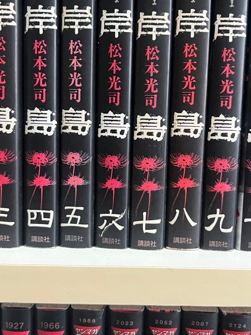 彼岸島　漫画　セット　彼岸島33巻　48日間16巻　48日後18巻