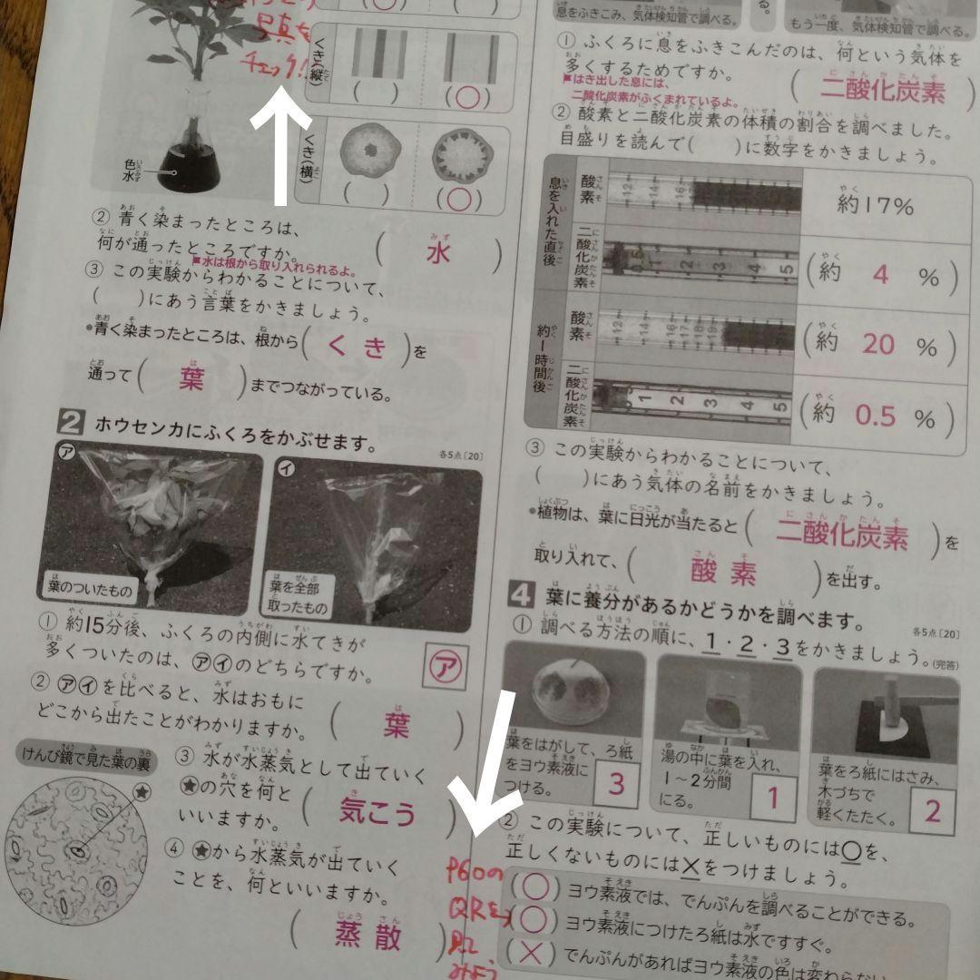 小6　理科　令和7年度　カラーテスト見なおしシート　啓林館　明治図書