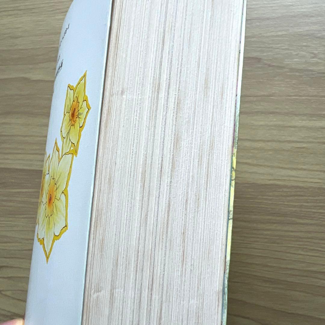 ぼくの地球を守って　愛蔵版　全巻セット