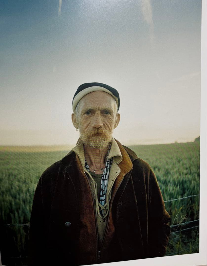 洋書 THE NEW GYPSIES IAIN McKELL