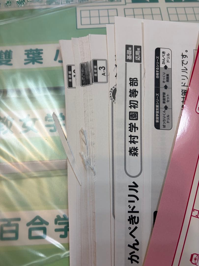 小学校受験　理英会　かんぺきドリル　20冊