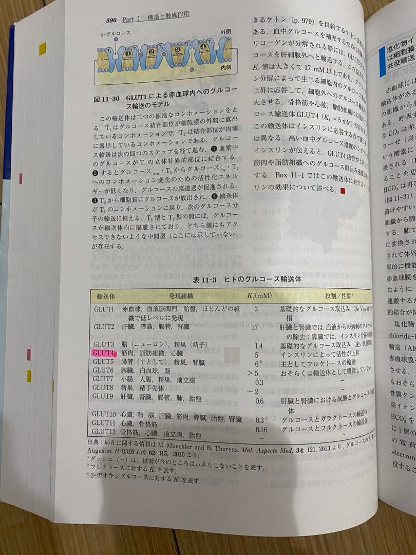 レーニンジャーの新生化学 第7版 上下セット