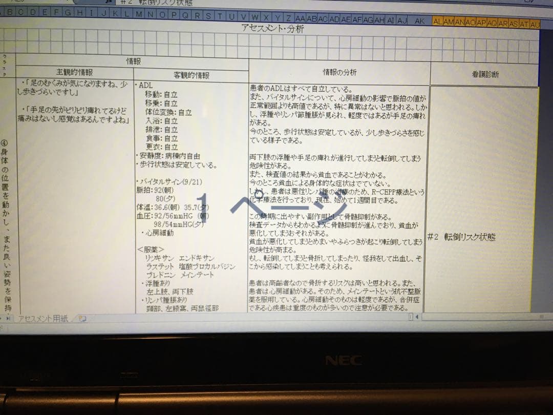 専用 看護学生 看護実習 看護過程 看護計画 アセスメント 手順書 関連図 資料