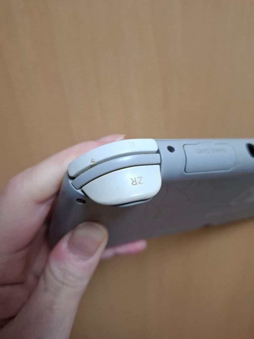 Nintendo Switch Lite ポケモン
