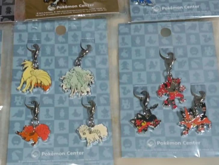 ポケモン全国ずかんメタルチャームセット