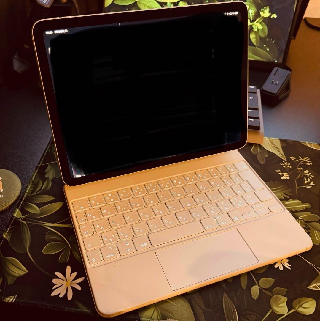 Magic Keyboard 10.9インチ