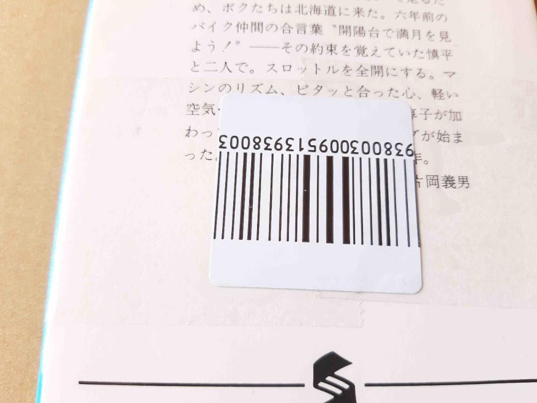 文庫版、レア・入手困難本「振り返れば地平線」 佐々木 譲