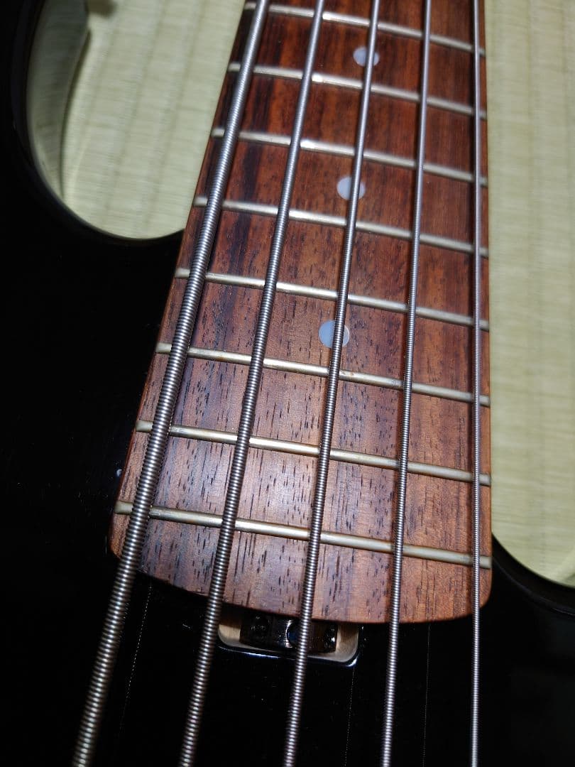 ESP AP-SL5 5弦ベース ESP純正ソフトケース付き