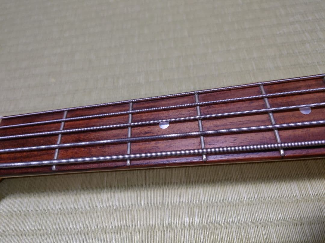 ESP AP-SL5 5弦ベース ESP純正ソフトケース付き