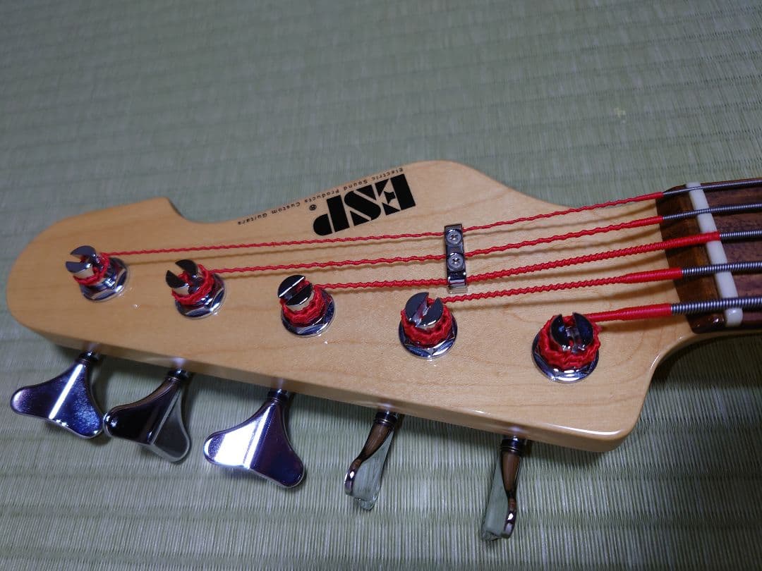 ESP AP-SL5 5弦ベース ESP純正ソフトケース付き