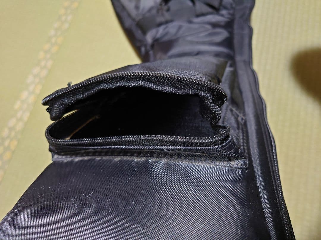 ESP AP-SL5 5弦ベース ESP純正ソフトケース付き