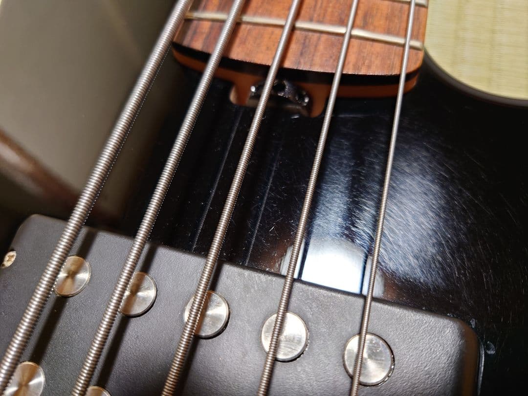 ESP AP-SL5 5弦ベース ESP純正ソフトケース付き
