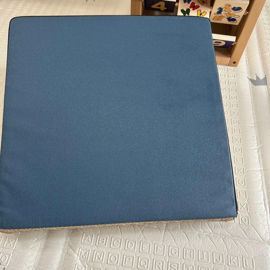 SANTERPLUS Flexcushion ベージュ 日本製