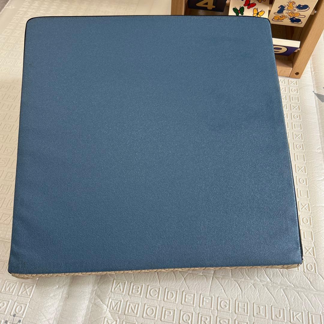 SANTERPLUS Flexcushion ベージュ 日本製