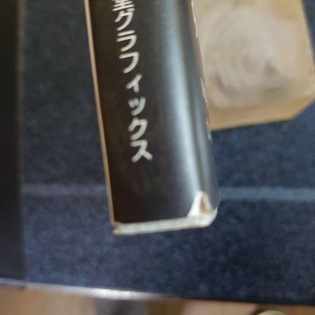 立ちつくす山 : 舟越桂作品集