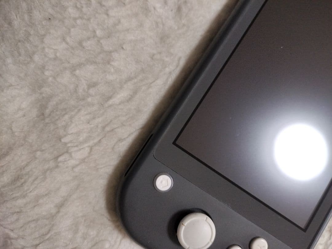 動作品 Nintendo Switch Lite グレー 本体 良品