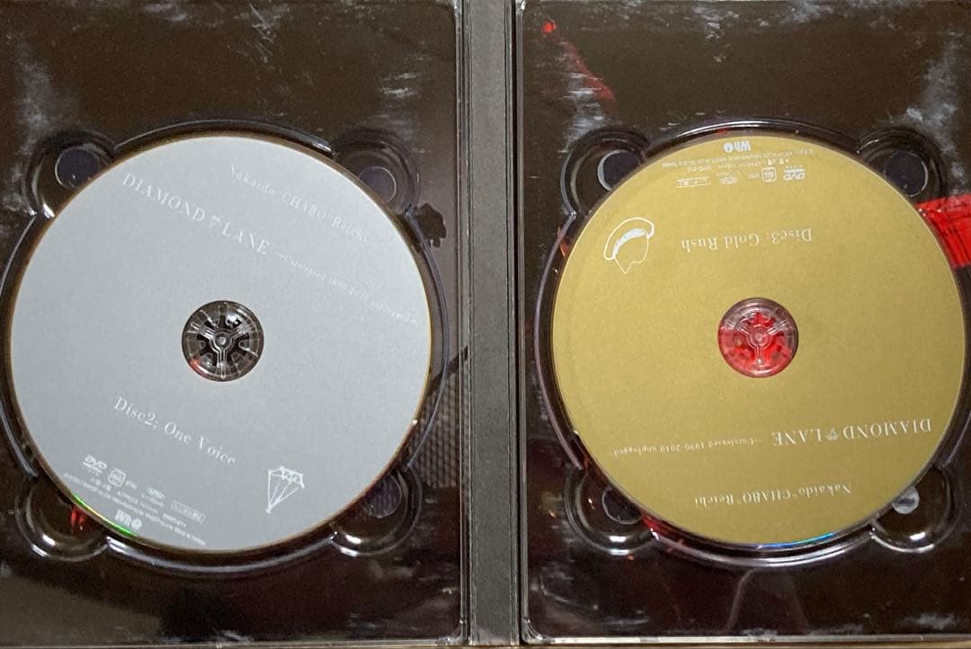 仲井戸麗市 / DIAMOND LANE　DVD