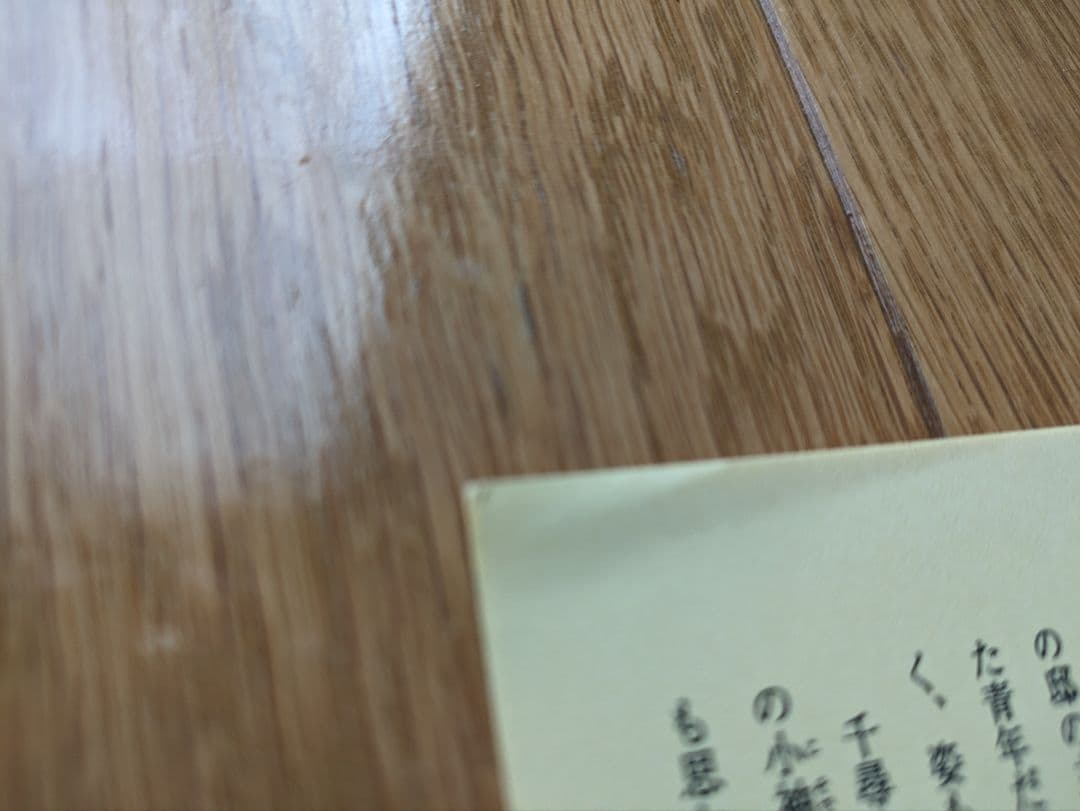 奈落の底で待っていて　限定ペーパー