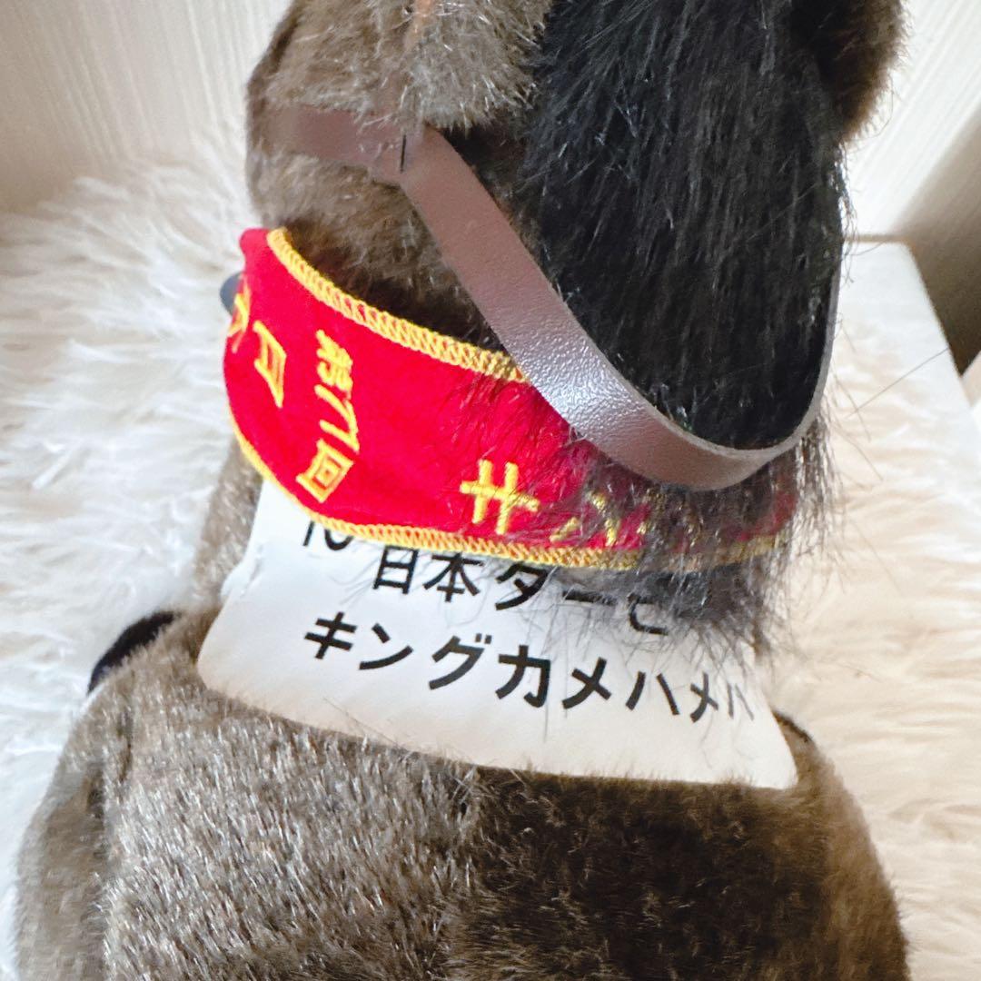 キングカメハメハ 日本ダービー AVANTI ぬいぐるみ 競馬 Sサイズ ウマ娘