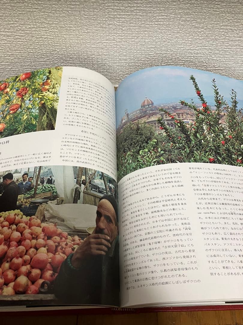 アサヒ百科 世界の植物 全12巻セット 植物図鑑