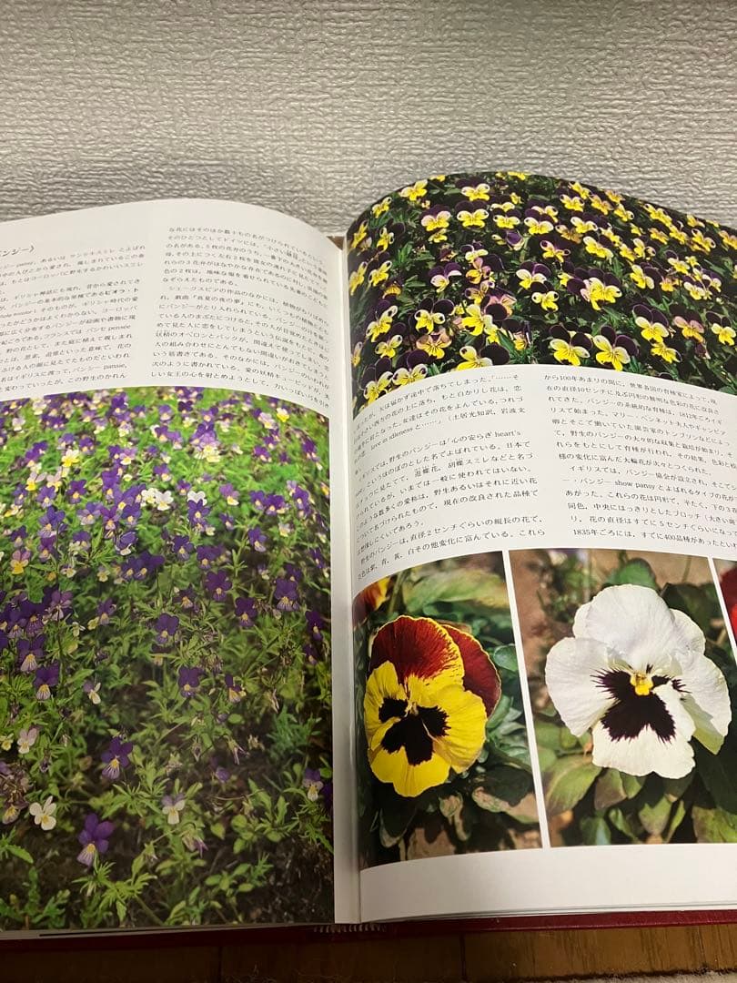 アサヒ百科 世界の植物 全12巻セット 植物図鑑