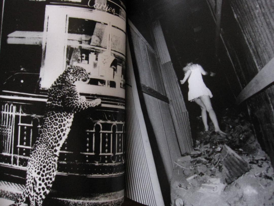 Daido Moriyama　The World through My Eyes
