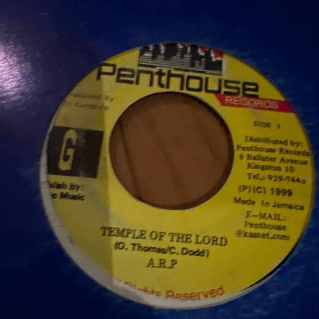 Penthouse THINGS & TIME レコード 8枚セット
